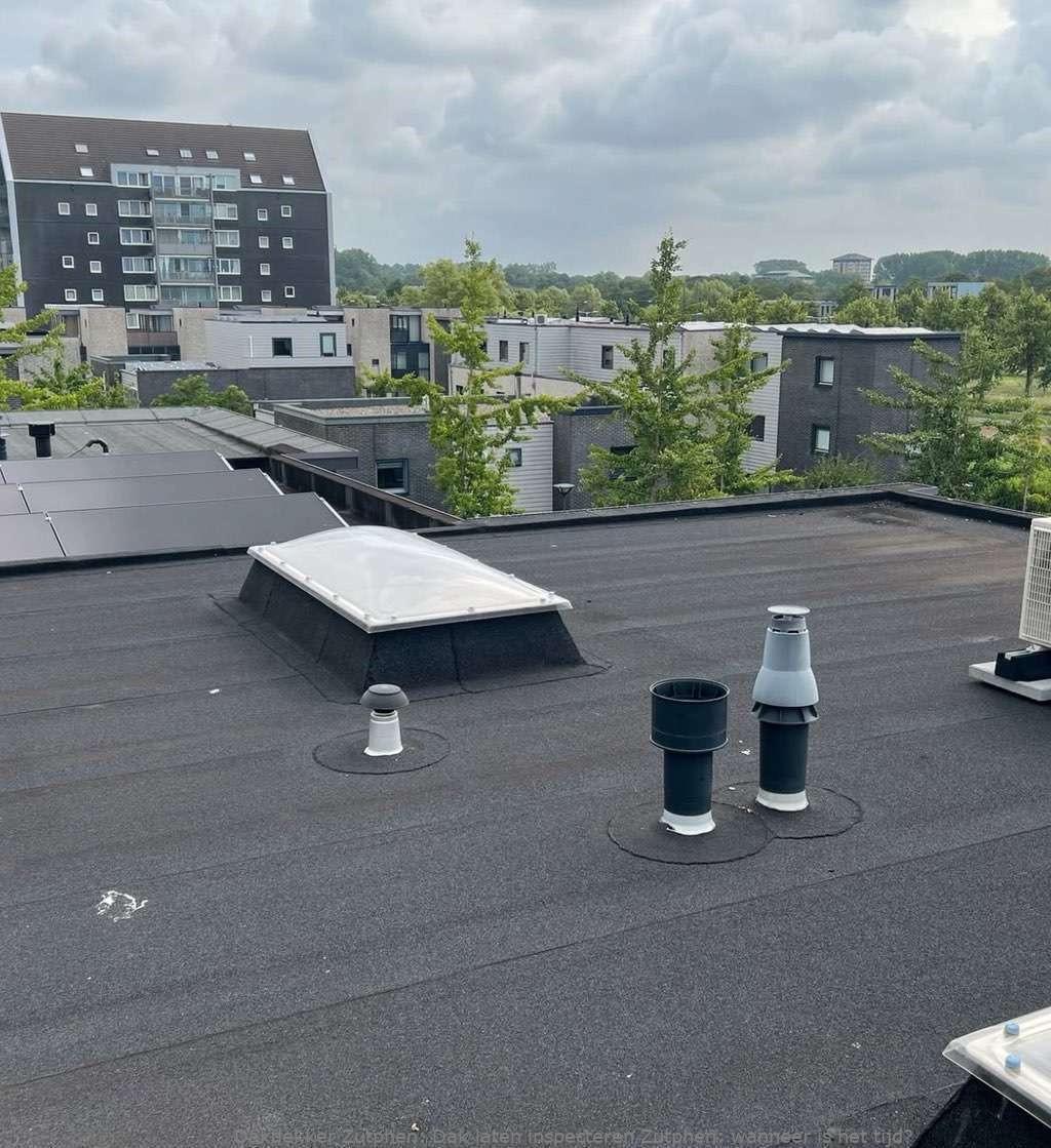 Dak laten inspecteren Zutphen: wanneer is het tijd?