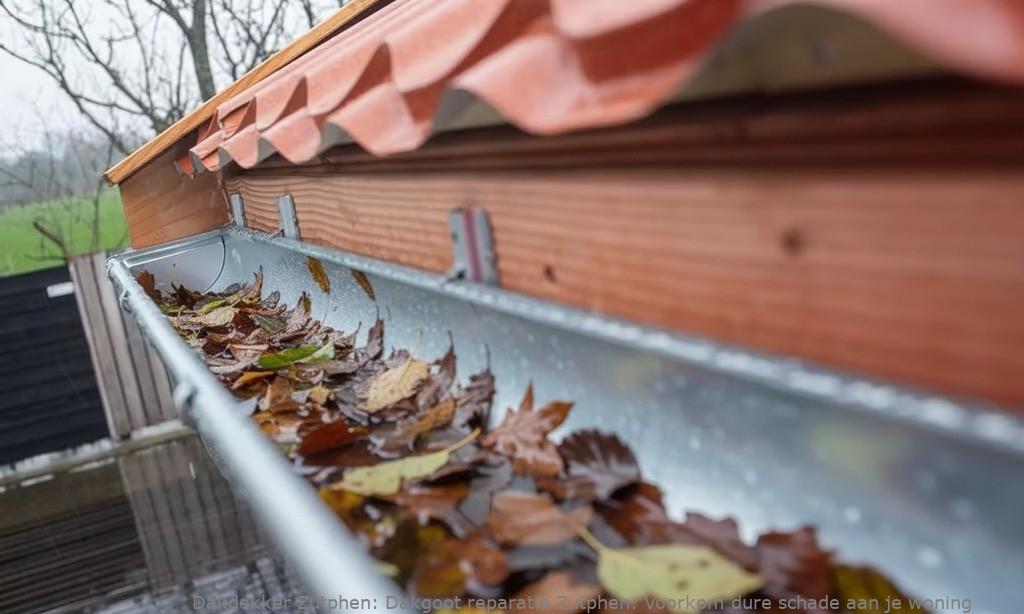 Dakgoot reparatie Zutphen: Voorkom dure schade aan je woning