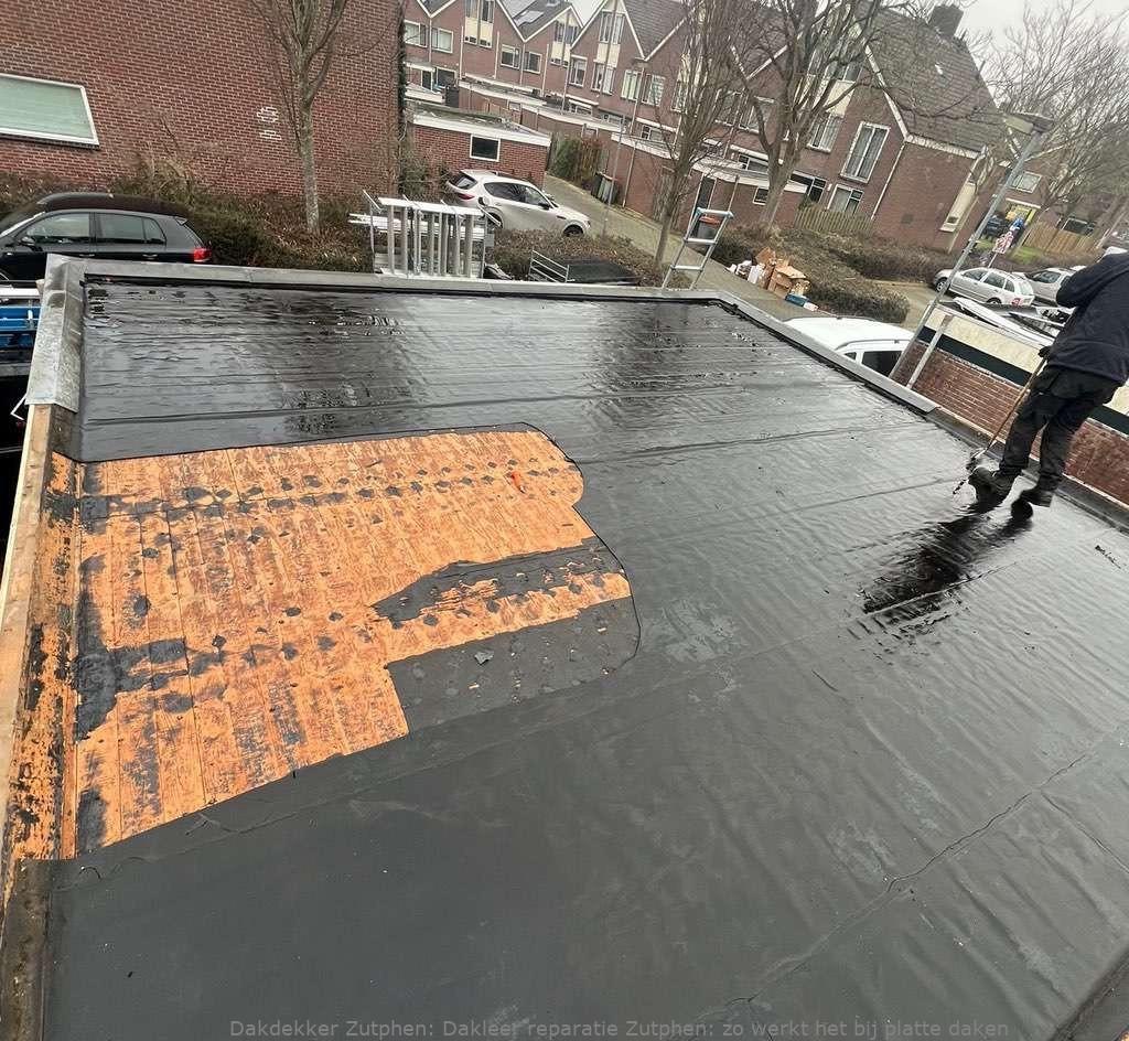 Dakleer Reparatie Zutphen